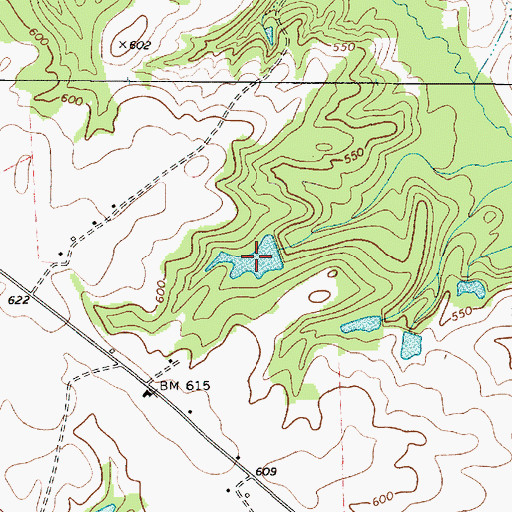 Topographic Map of Bedenbaughs Pond Number Two, SC