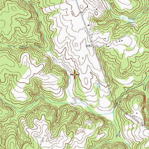 Topographic Map of Pelletts Pond, SC