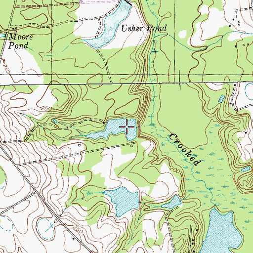 Topographic Map of Curtis Pond Dam D-3436, SC