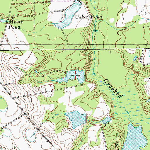Topographic Map of Curtis Pond, SC