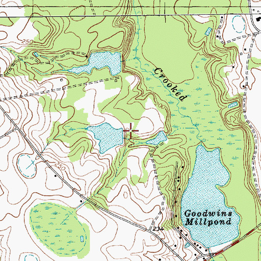 Topographic Map of Quick Pond Dam D-3437, SC