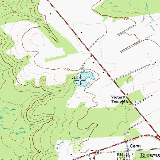 Topographic Map of Grey Pond Dam D-3460, SC