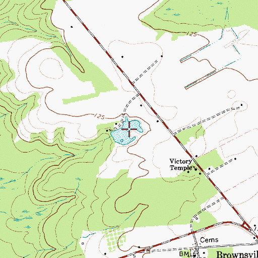 Topographic Map of Grey Pond, SC