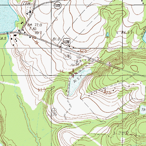 Topographic Map of Bests Pond Dam D-3687, SC