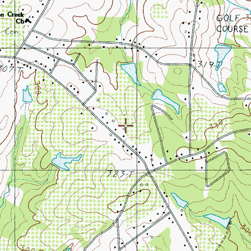 Topographic Map of E Lee Incorporated Pond, SC