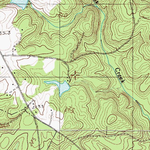 Topographic Map of C P Pressley Pond, SC