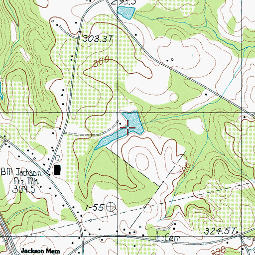 Topographic Map of D Honey Incorporated Pond, SC