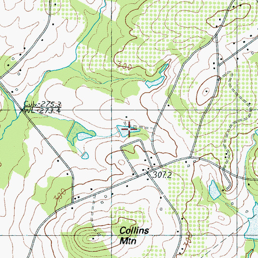 Topographic Map of Professional Pond, SC