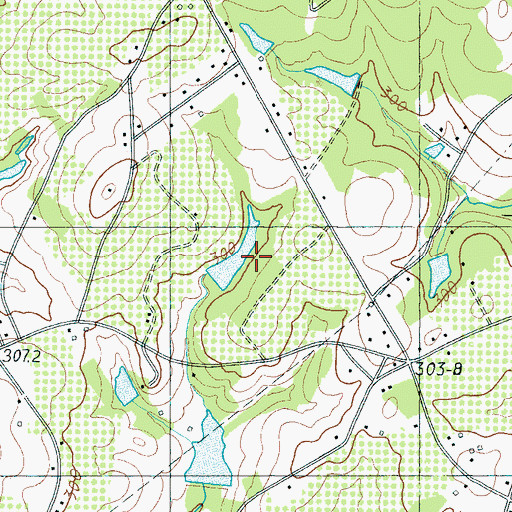 Topographic Map of T Cribb Pond Dam D-2175, SC