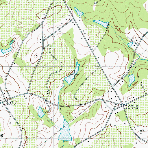Topographic Map of T Cribb Pond, SC
