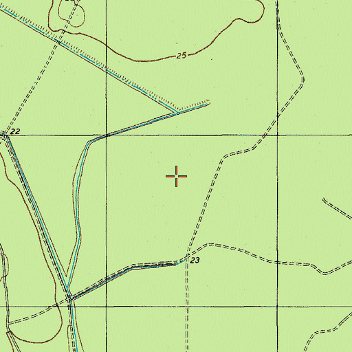 Topographic Map of Big Swamp (historical), SC