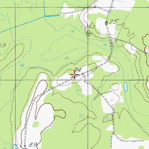 Topographic Map of Fishburne Plantation, SC