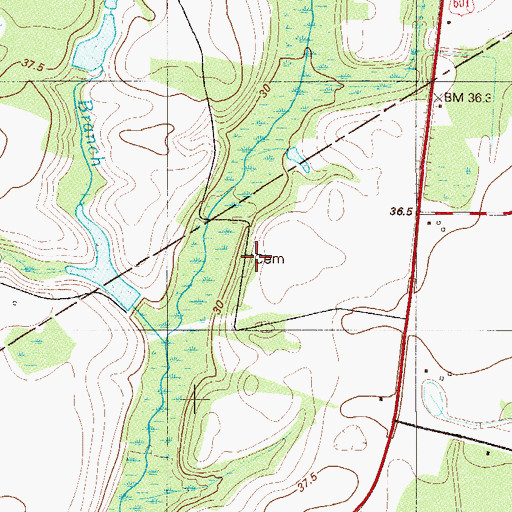 Topographic Map of Rizer Cemetery, SC
