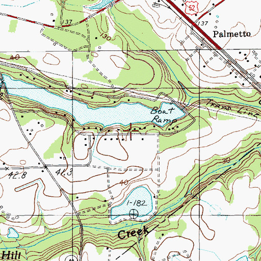 Topographic Map of Palmetto Shores, SC