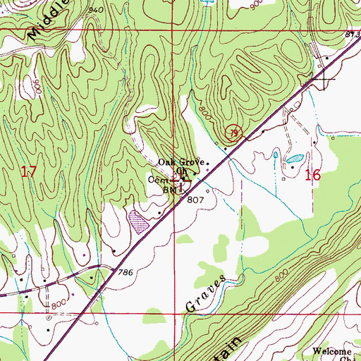 Topographic Map of Oak Grove Church, AL