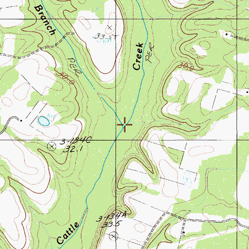 Topographic Map of Big Branch, SC