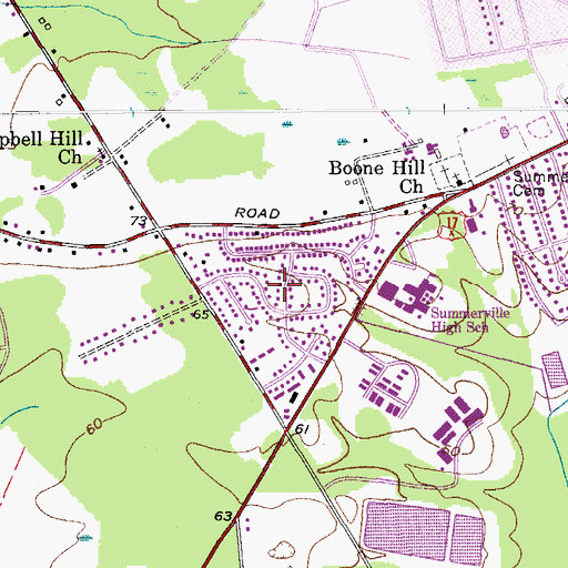 Topographic Map of Flowertown Village, SC