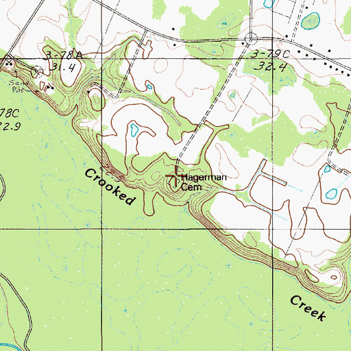 Topographic Map of Hagerman Cemetery, SC