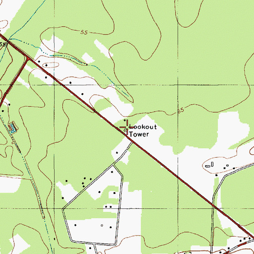 Topographic Map of Ridgeville Lookout Tower, SC