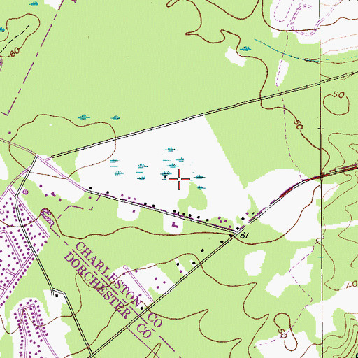 Topographic Map of Southern Palms, SC