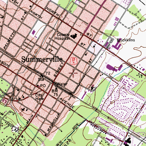 Topographic Map of Summerville Historic District, SC