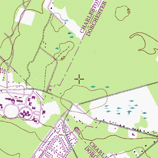 Topographic Map of Summerville Place, SC