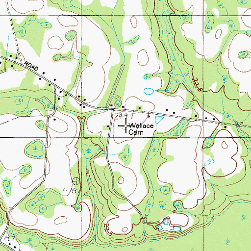 Topographic Map of Wallace Cemetery, SC