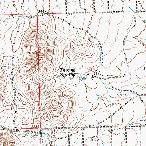 Topographic Map of Thorne Spring, AZ