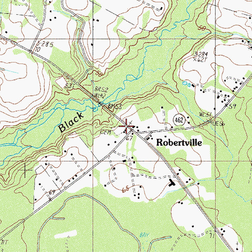 Topographic Map of Black Swamp Baptist Church, SC