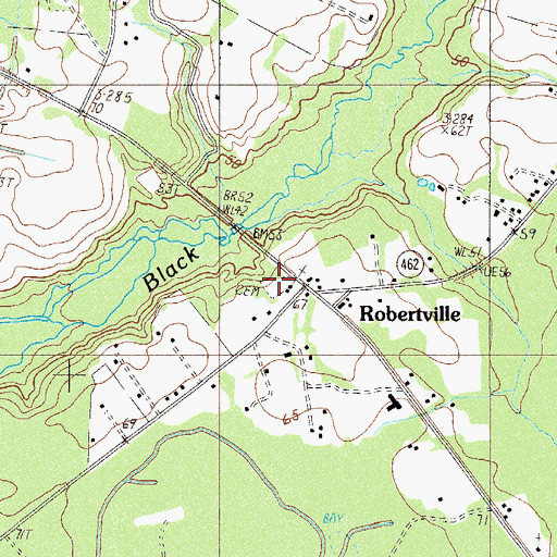 Topographic Map of Black Swamp Cemetery, SC