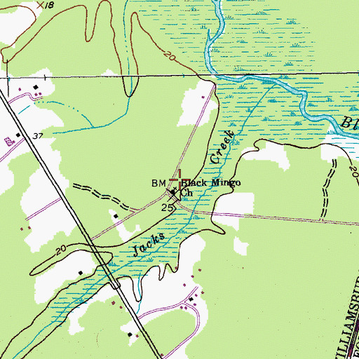 Topographic Map of Black Mingo Cemetery, SC