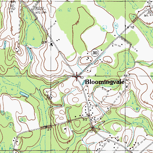 Topographic Map of Bloomingvale, SC