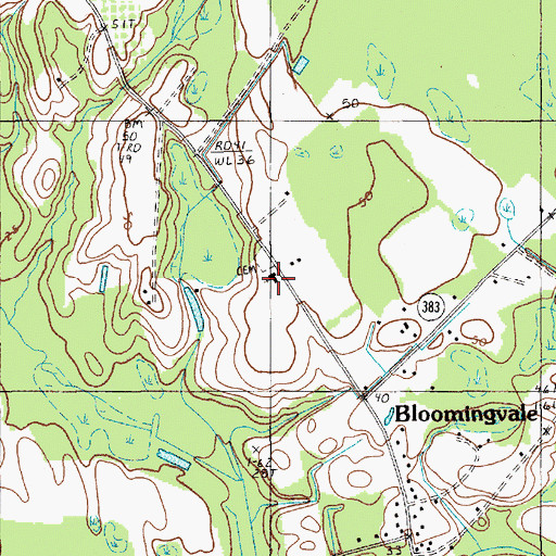 Topographic Map of Bloomingvale Baptist Church, SC