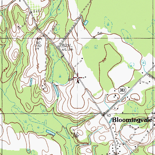 Topographic Map of Bloomingvale Cemetery, SC