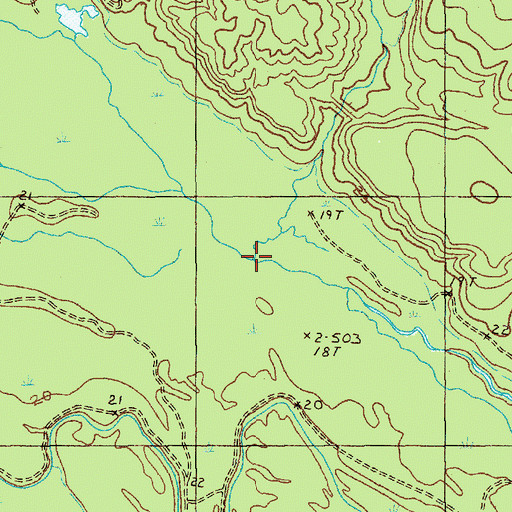 Topographic Map of Chapel Branch, SC