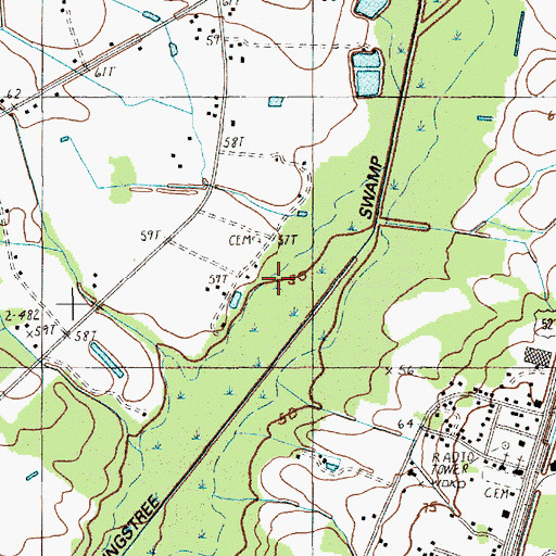 Topographic Map of Flat Swamp, SC