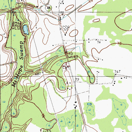 Topographic Map of Mount Hope Cemetery, SC