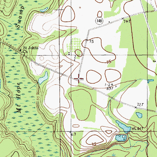 Topographic Map of New Market (historical), SC