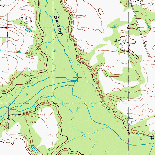Topographic Map of Parsley Swamp, SC