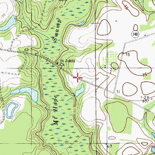 Topographic Map of Saint Johns School (historical), SC