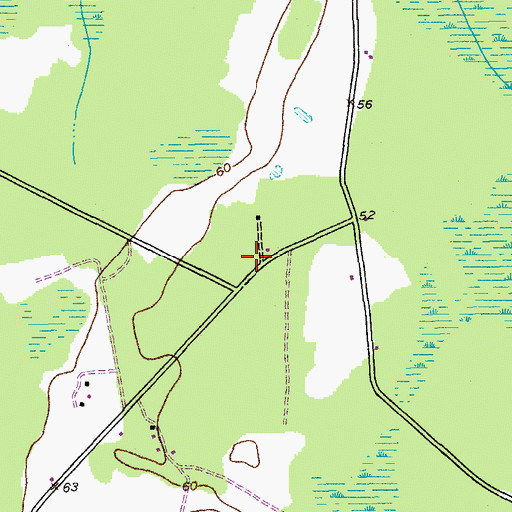 Topographic Map of Spring Pond Church, SC