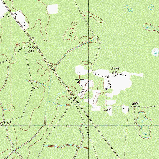 Topographic Map of Pine Land Hunting Club, SC