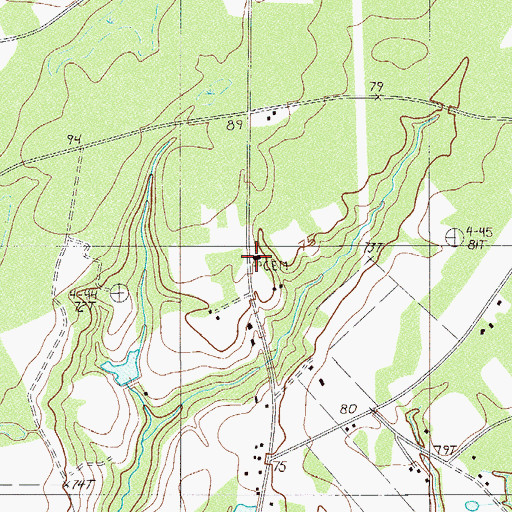 Topographic Map of Pine Level Baptist Church, SC