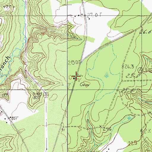 Topographic Map of Rock Spring Church, SC