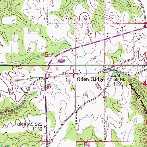 Topographic Map of Oden Ridge, AL