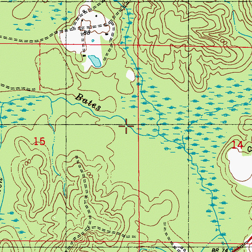 Topographic Map of Odom Branch, AL