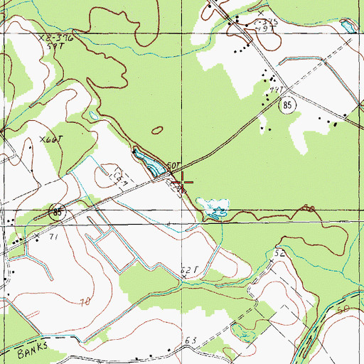 Topographic Map of Lee Cemetery, SC