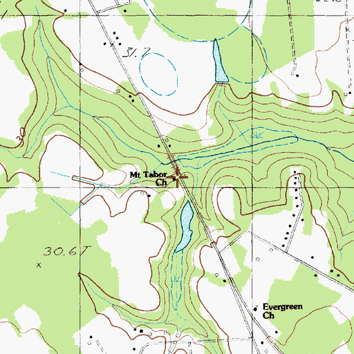 Topographic Map of Mount Tabor Church, SC