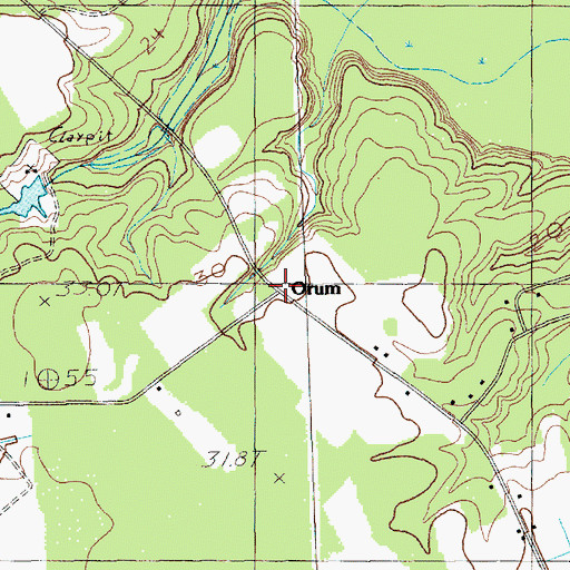 Topographic Map of Orum, SC