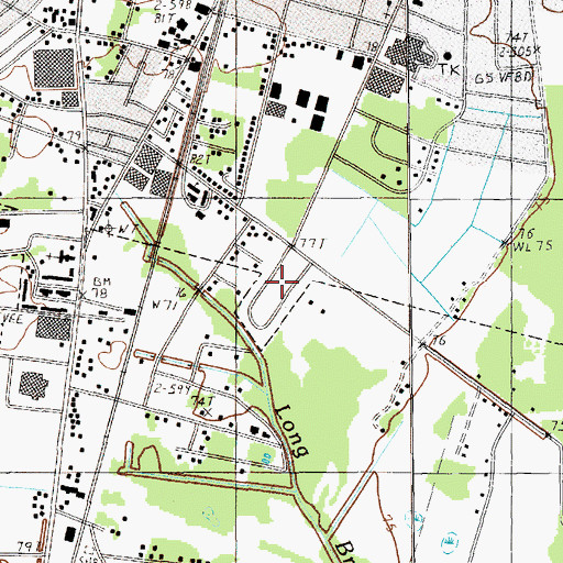 Topographic Map of Palmetto Estates, SC